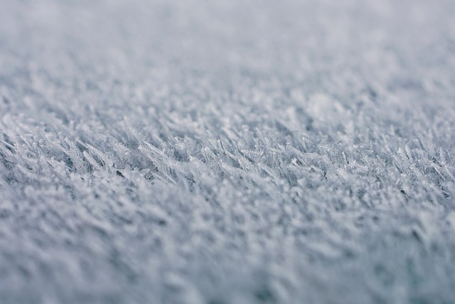 Derfor elsker vi cookie dough is – og sådan laver du den perfekt